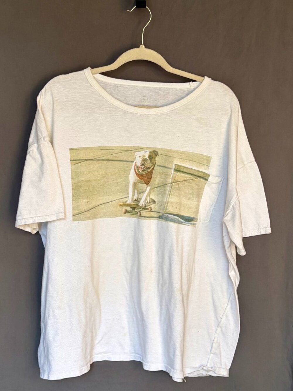 Aerie Oversized English Bulldog Graphic Tee XL